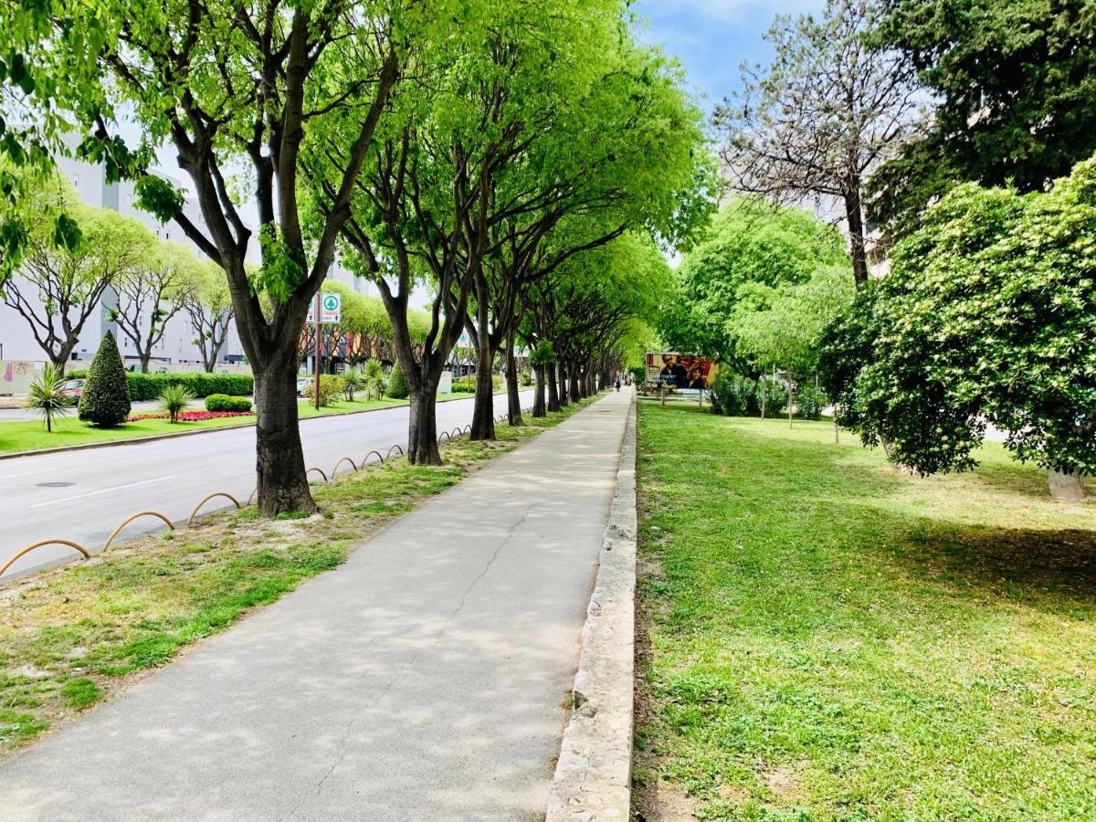 Split Right Place****Cozy And Completely New 外观 照片
